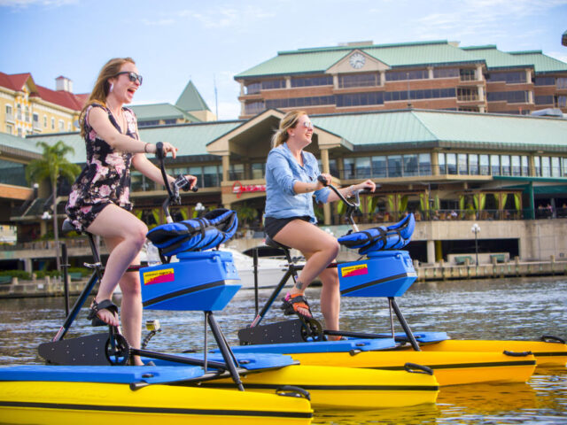 Top Things to Do in Tampa, FL